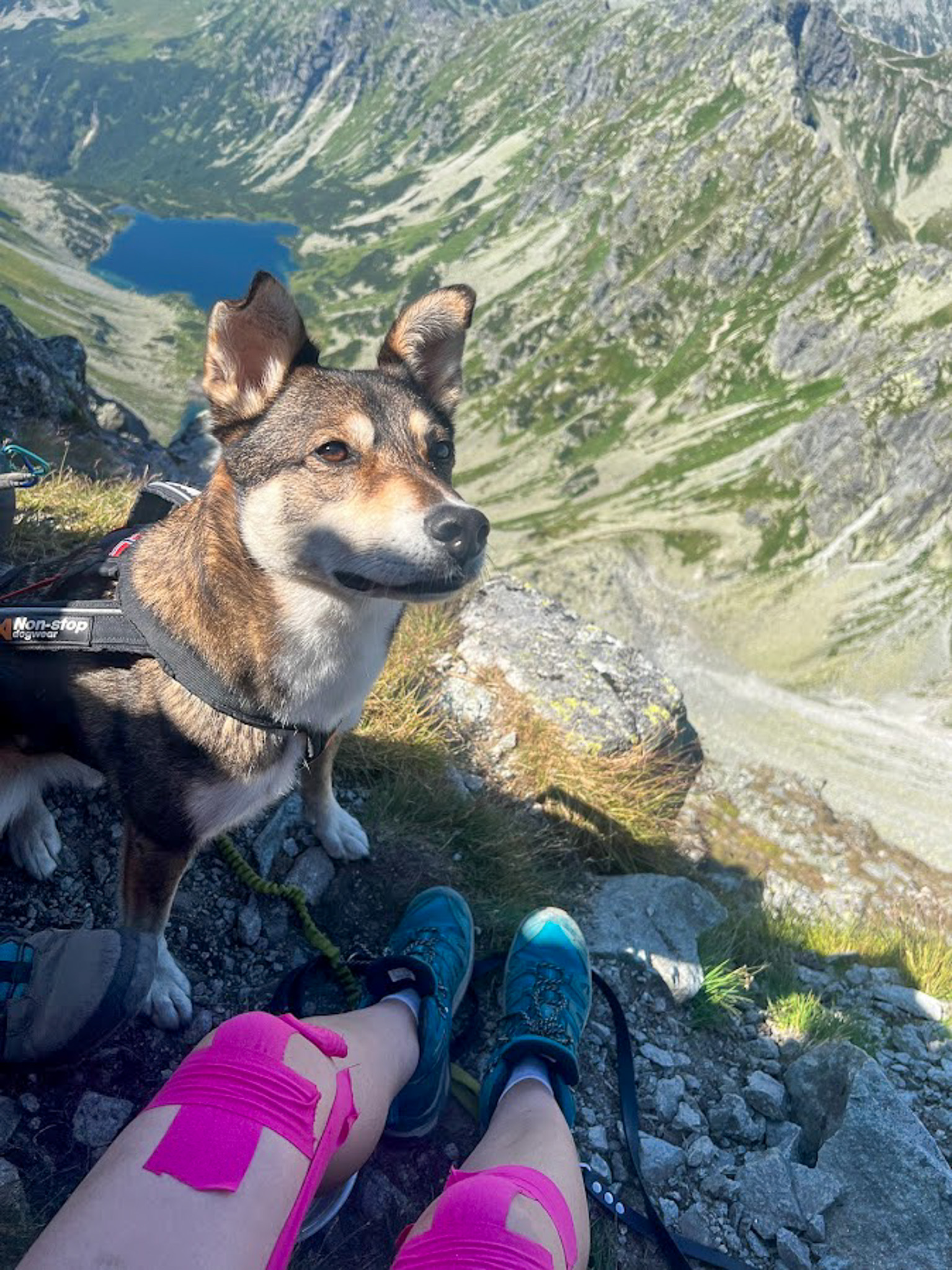 Na szczycie! W tle Ciemnosmerczyńskie stawy