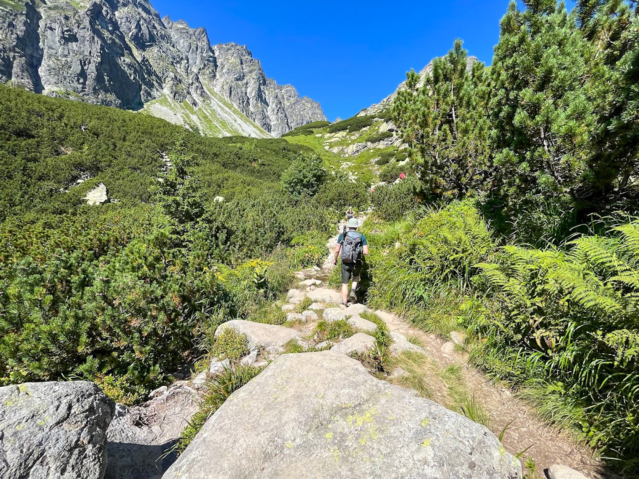 Dolina Mięguszowiecka