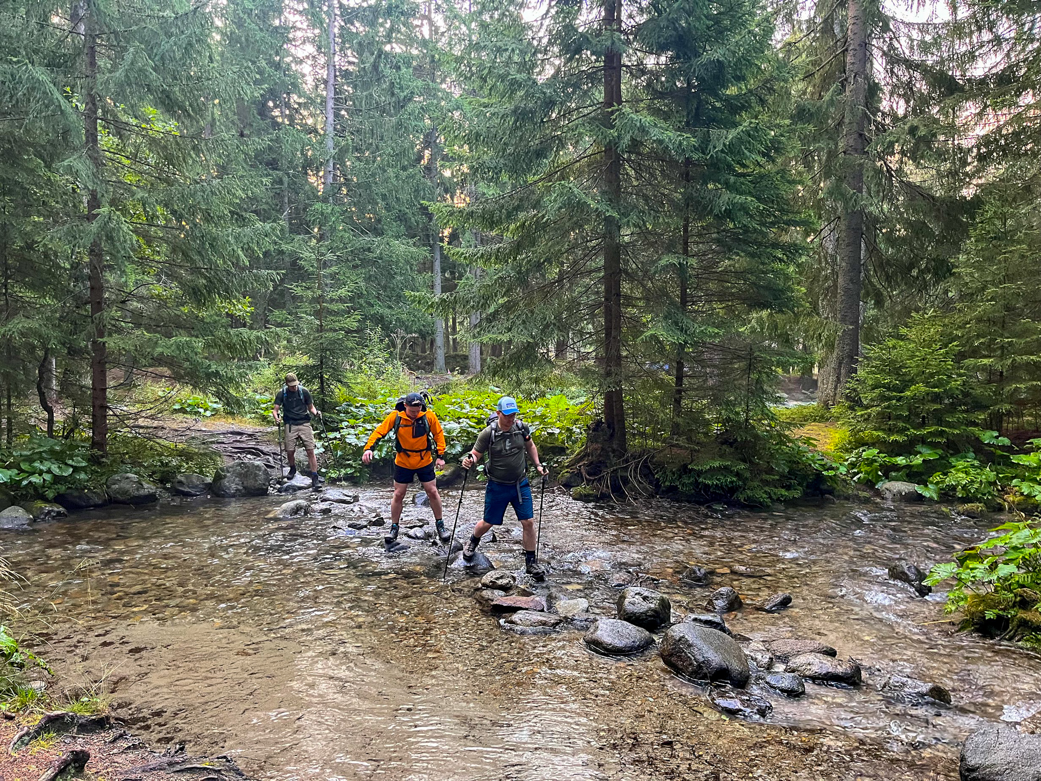 Przejście z parkingu na szlak