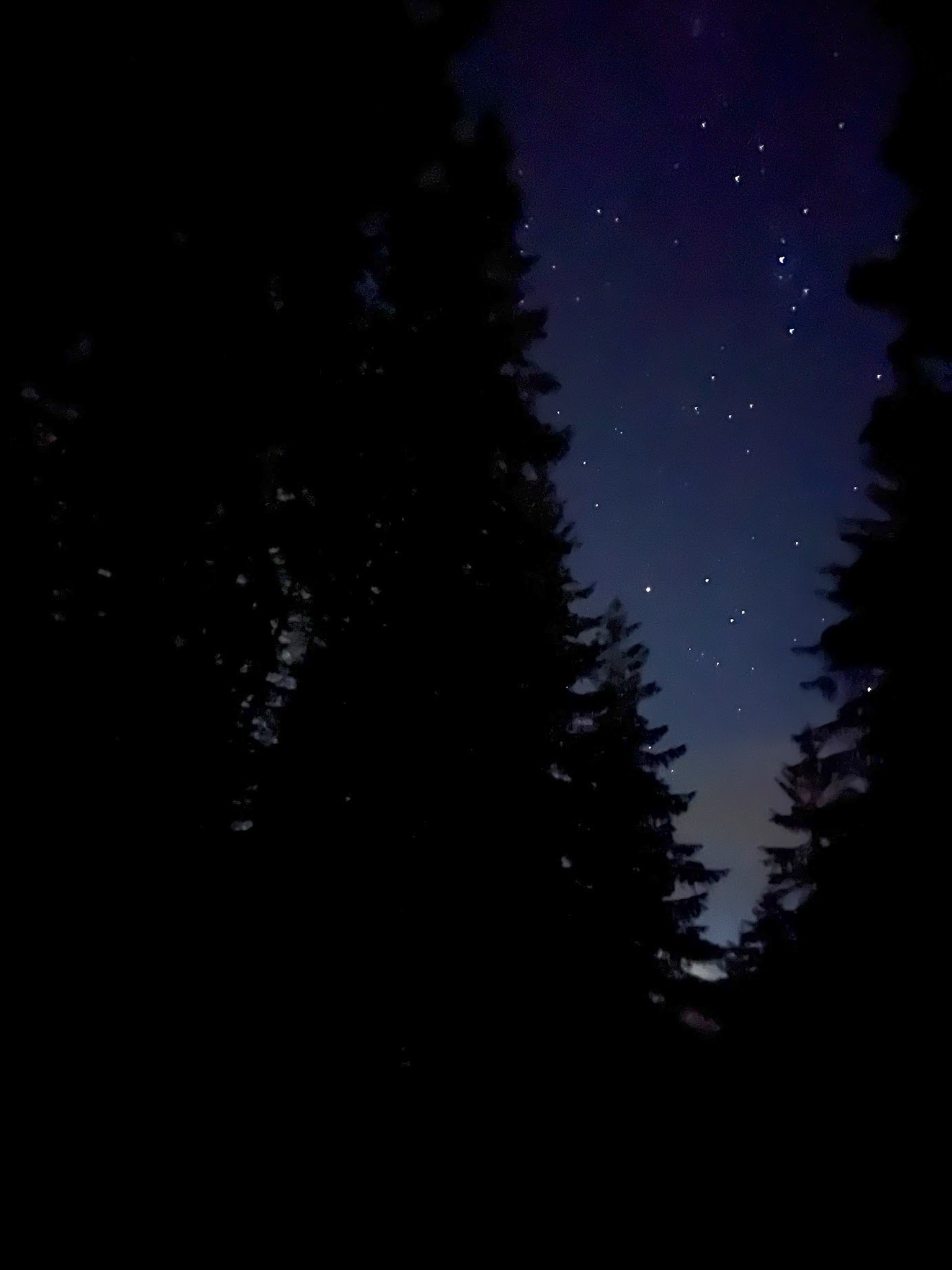 Gwieździste niebo na dojściu do schroniska